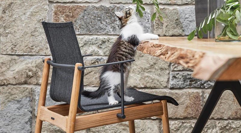 Sway teak stacking chair