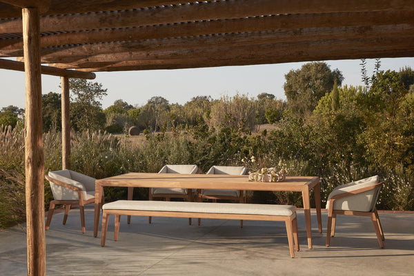Sunrise dining chair