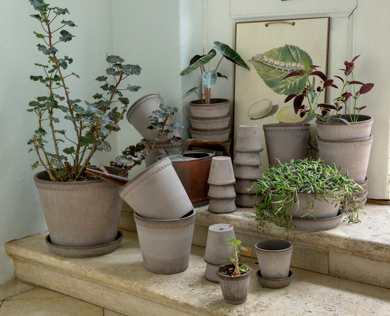 Bergs_Helena_graa_krukker_samling_stablet_planter