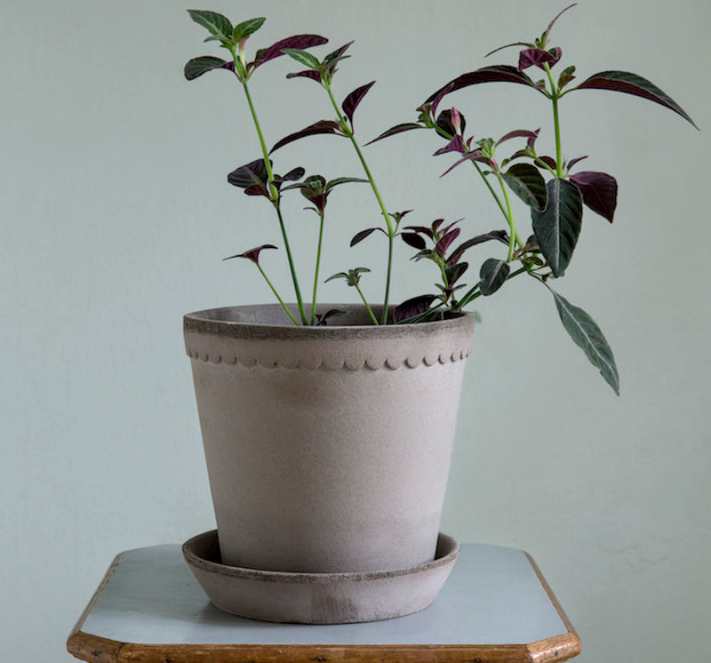 Bergs_Helena_graa_single_taburet_plante