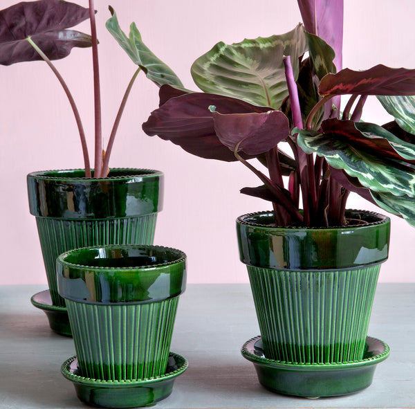 Bergs_Simona_green_krukke_planter