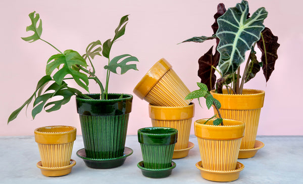 Bergs_Simona_green_yellow_samling_krukker_planter