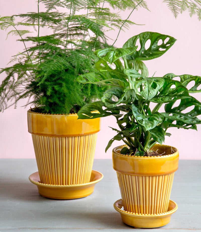 Bergs_Simona_yellow_krukke_planter