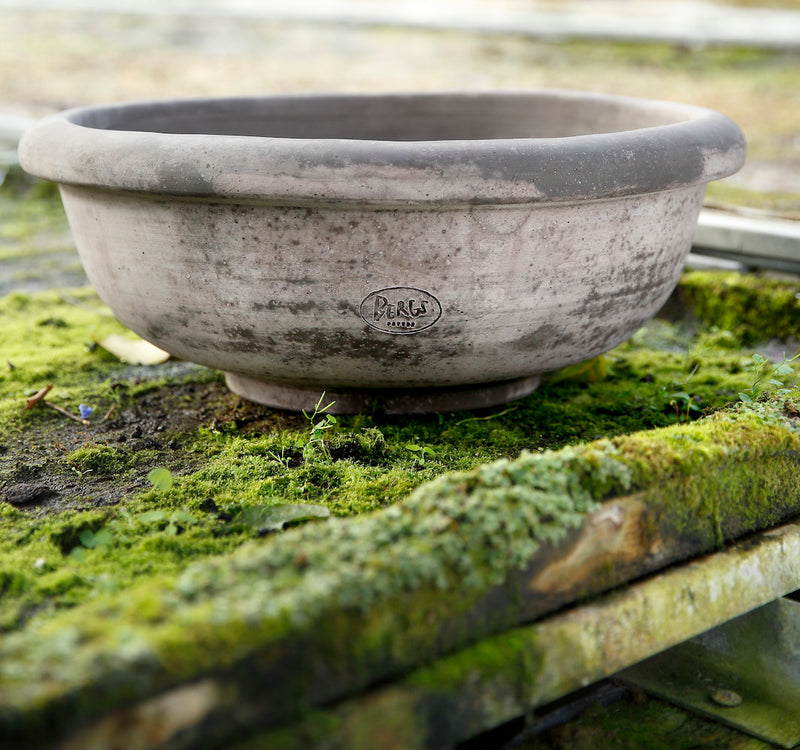 Erbe bowl