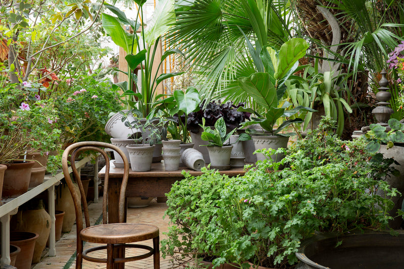 Bergs_københavner_graa_krukker_samling_bord_planter