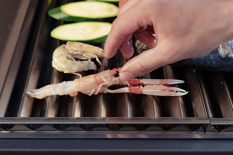 Barbecue FGA 1000 FO inkl. skab og hjul