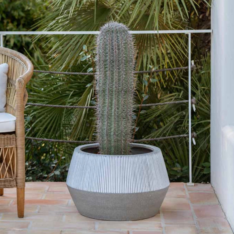 Harley Low White Stripe ficonstone