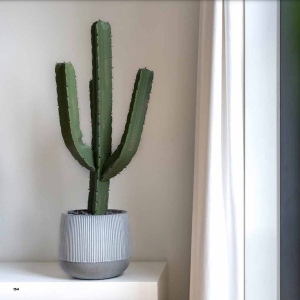 Pax White Stripe ficonstone