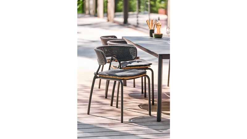 Mindo 101 dining chair