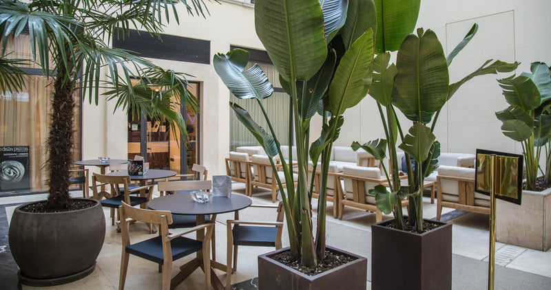 roda_worldhotel_cristoforo_colombo_italia.5675
